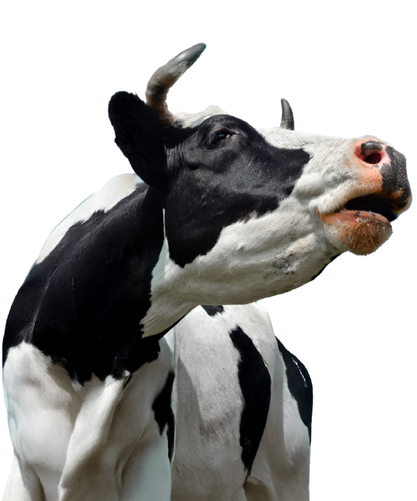 Alkhair Malaysia 1 Banner web v 02